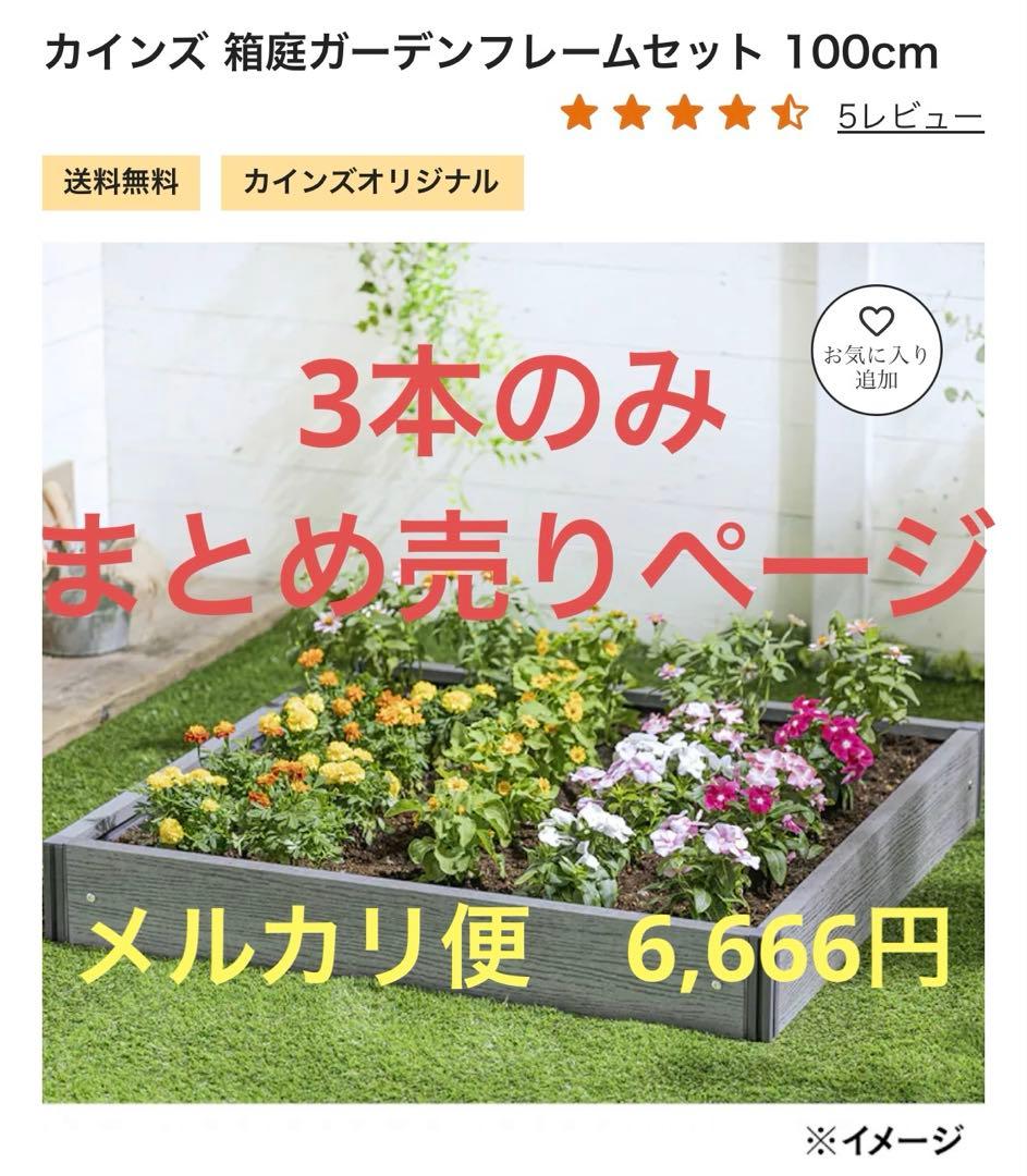 【メルカリ便140〜　3本のみ‼️】カインズ ガーデンフレーム　100cm