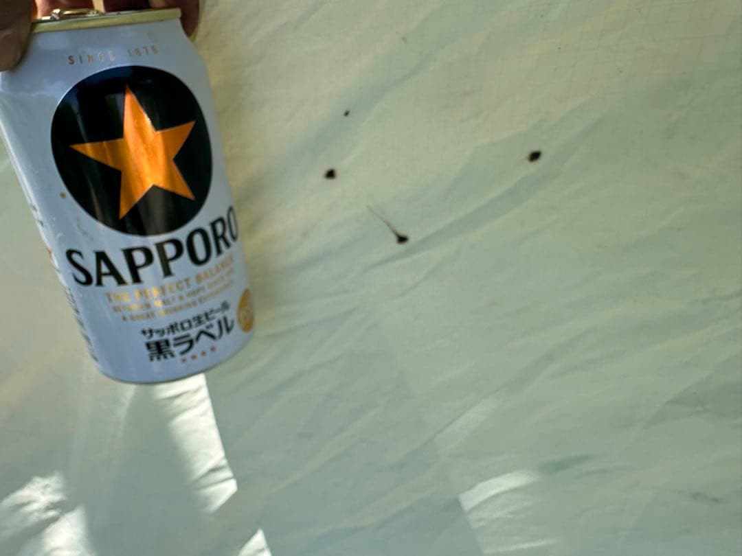 極稀少⭐︎モステント・青スターレット（Camden USA製）