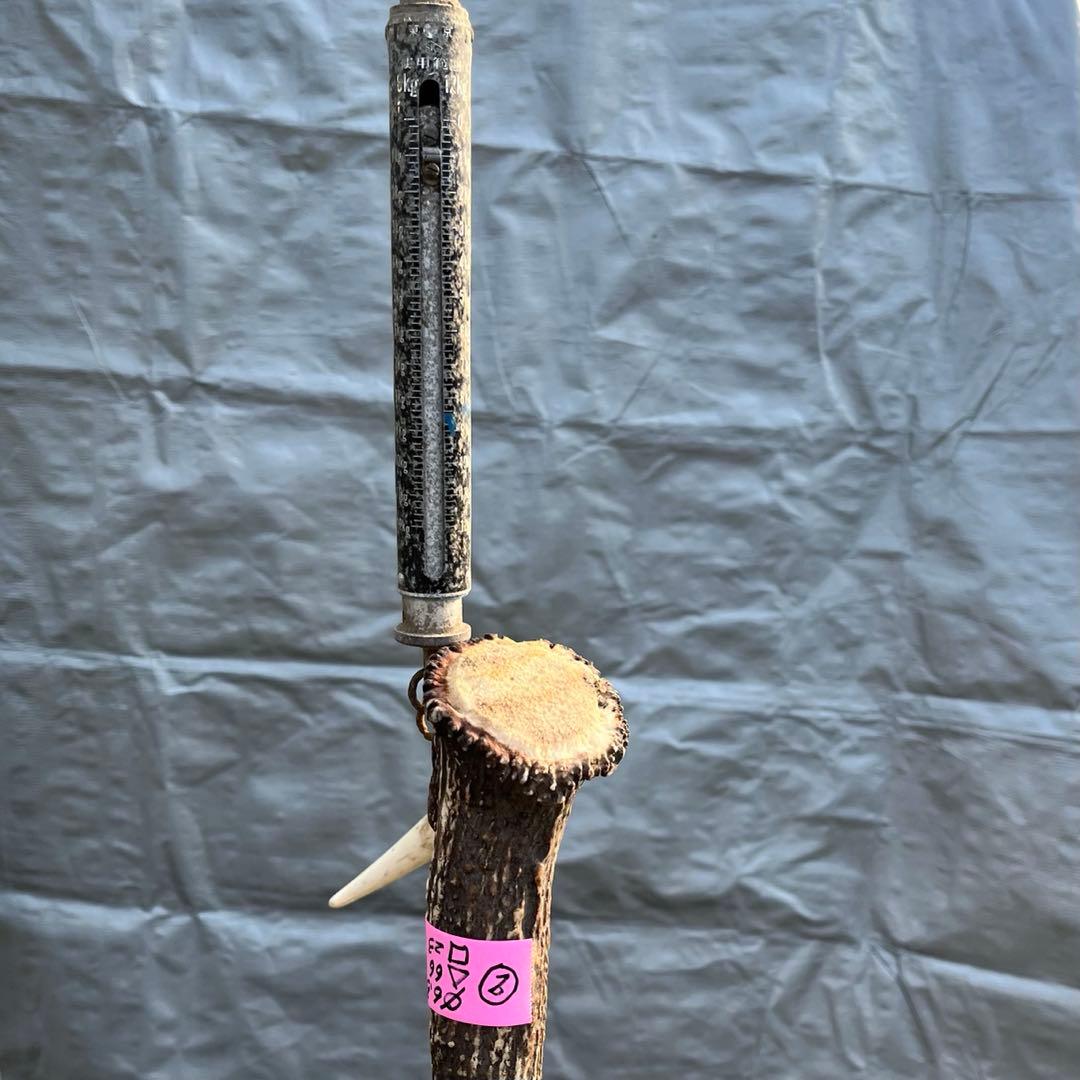 【天然物】※お値下げ済 鹿の角 エゾシカ⚫︎左右非対称⚫︎10本セット（約10kg）