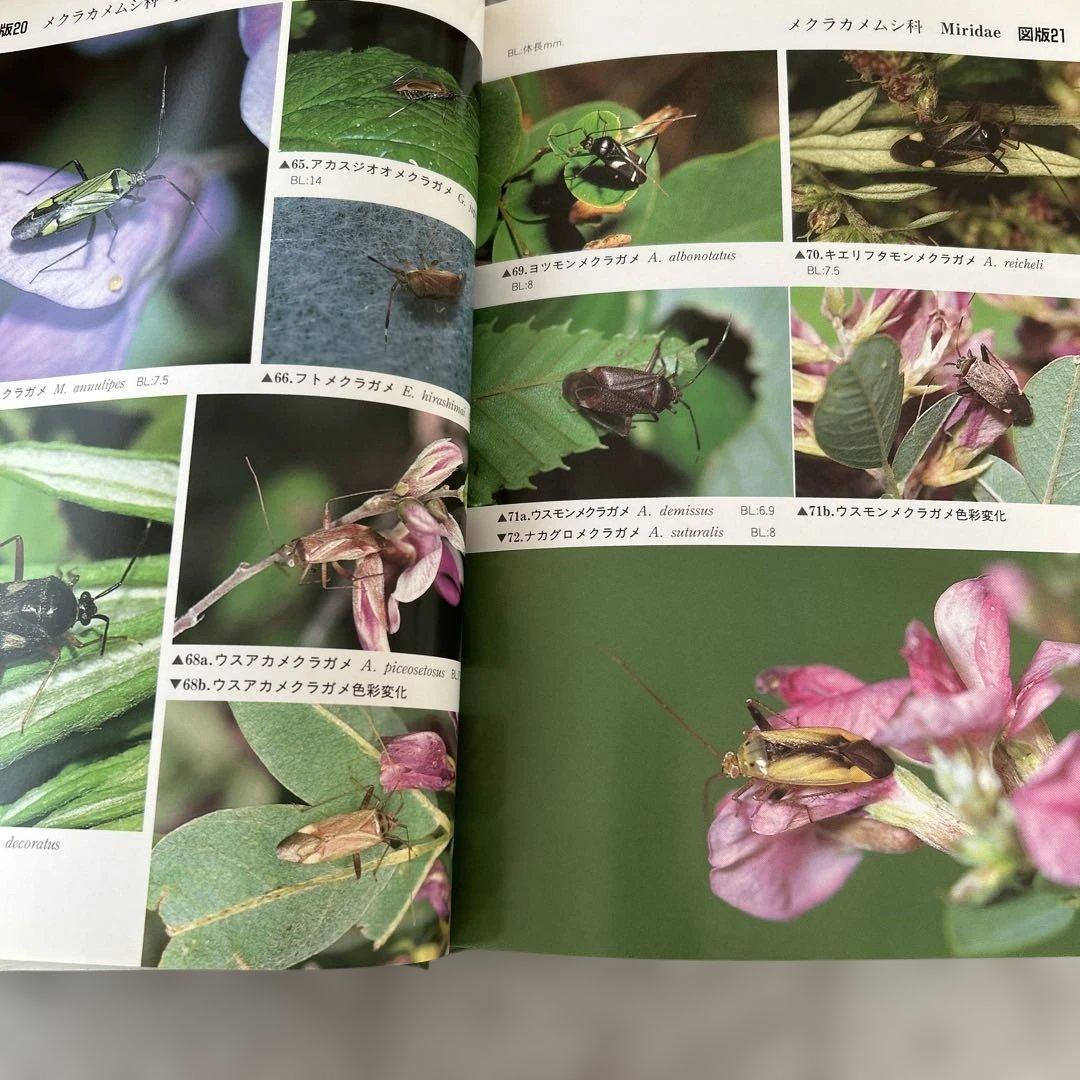 日本昆虫カメムシ図鑑 1・2・3巻