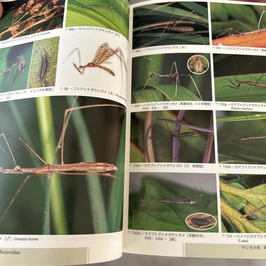 日本昆虫カメムシ図鑑 1・2・3巻