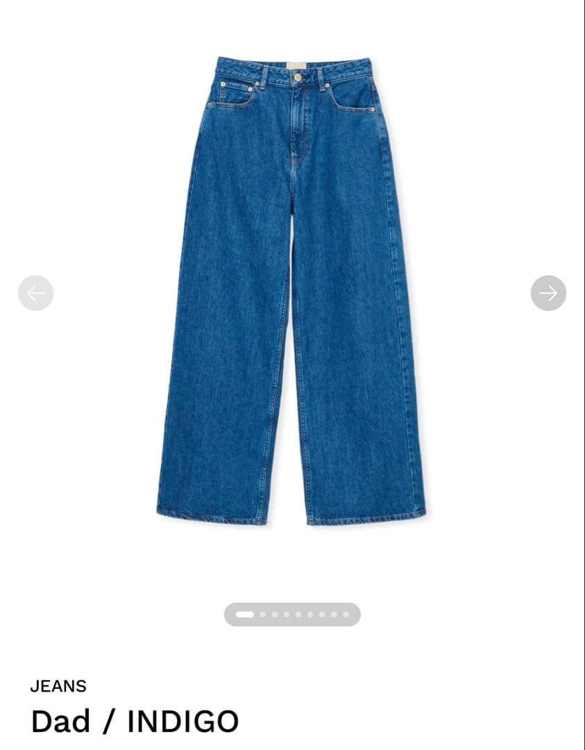 shishikui Dad インディゴ　34