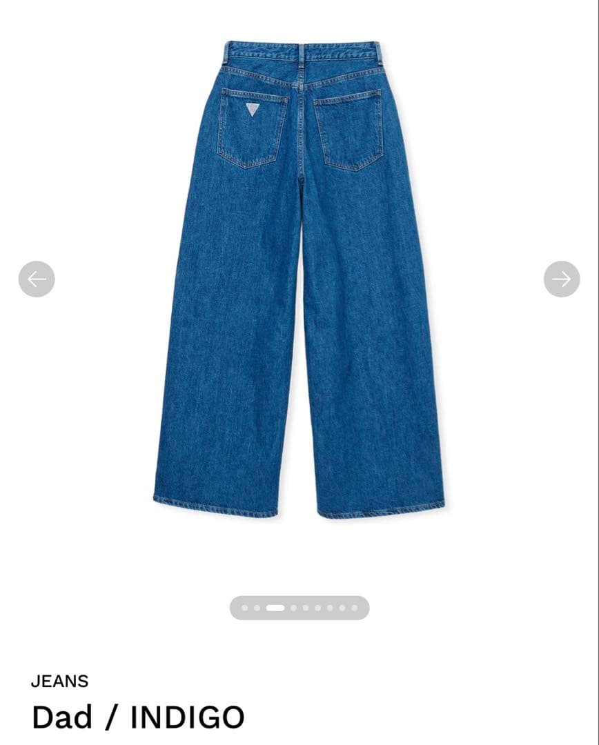 shishikui Dad インディゴ　34