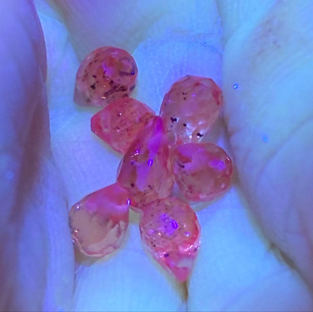 RiSaO＊　14kgf アイリスアゲート ラウンドピアス