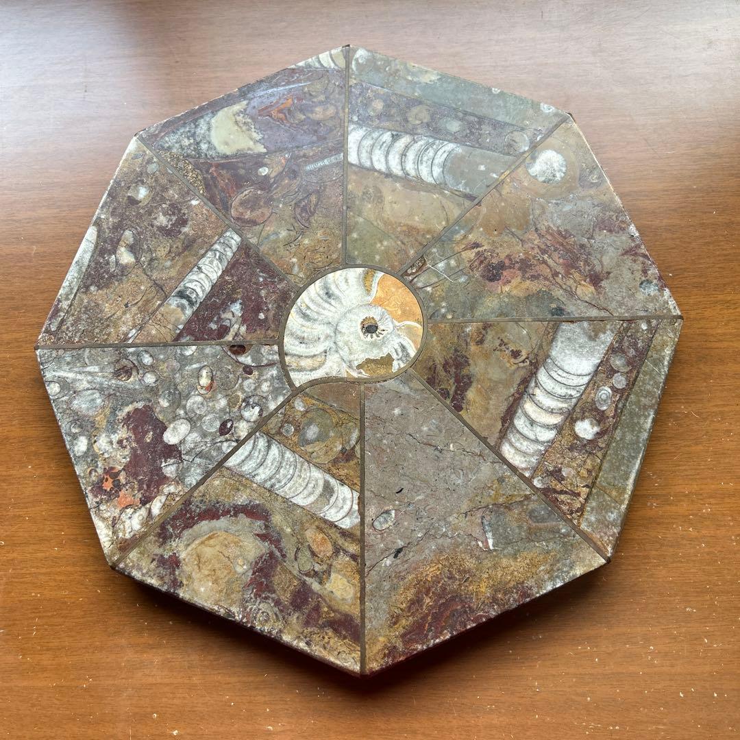 レア　アンモナイト　化石　八角形石製置物 約32.5cm