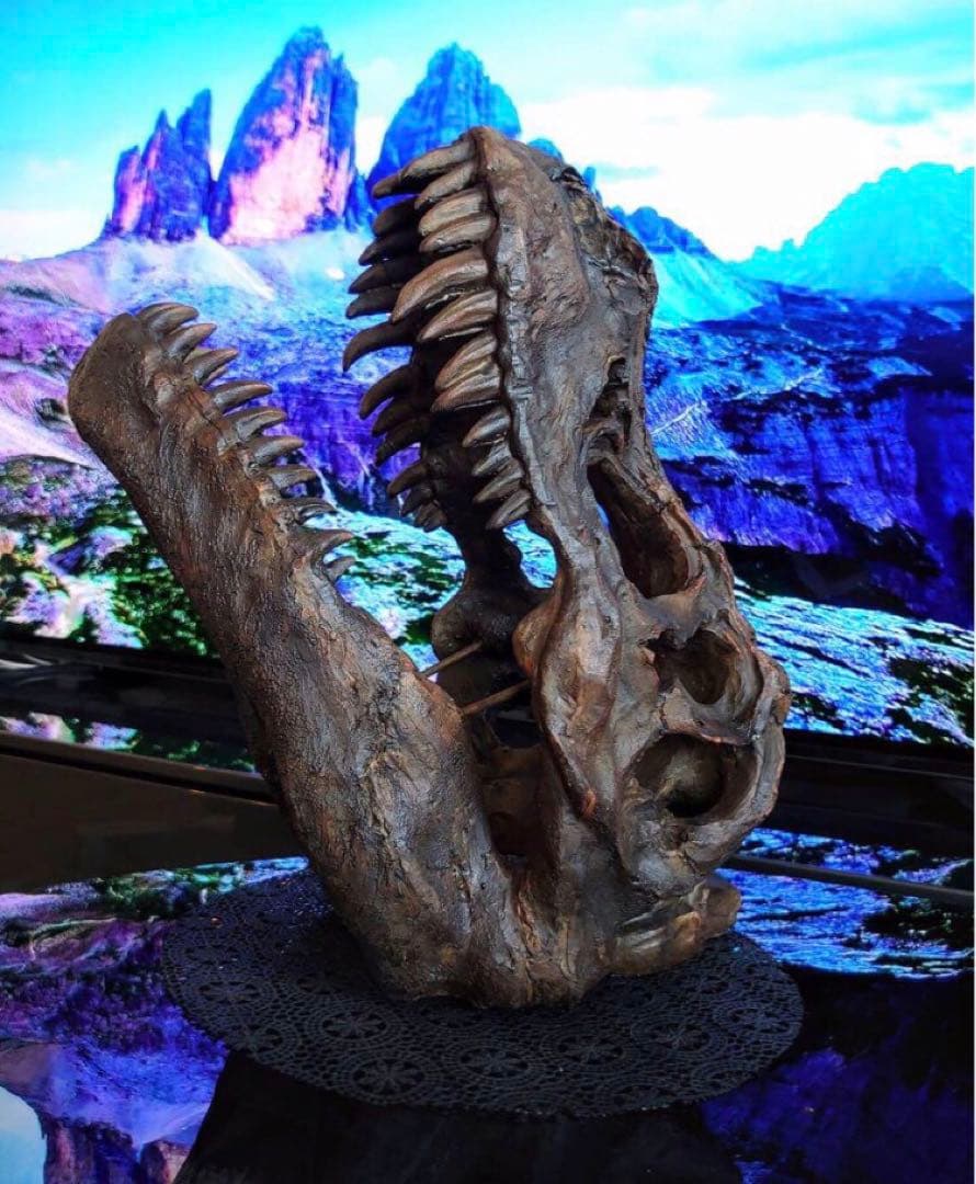 ✨大迫力✨ ティラノサウルス 恐竜の化石 頭骨 インテリア ジュラシックワールド