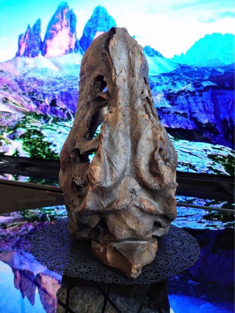 ✨大迫力✨ ティラノサウルス 恐竜の化石 頭骨 インテリア ジュラシックワールド