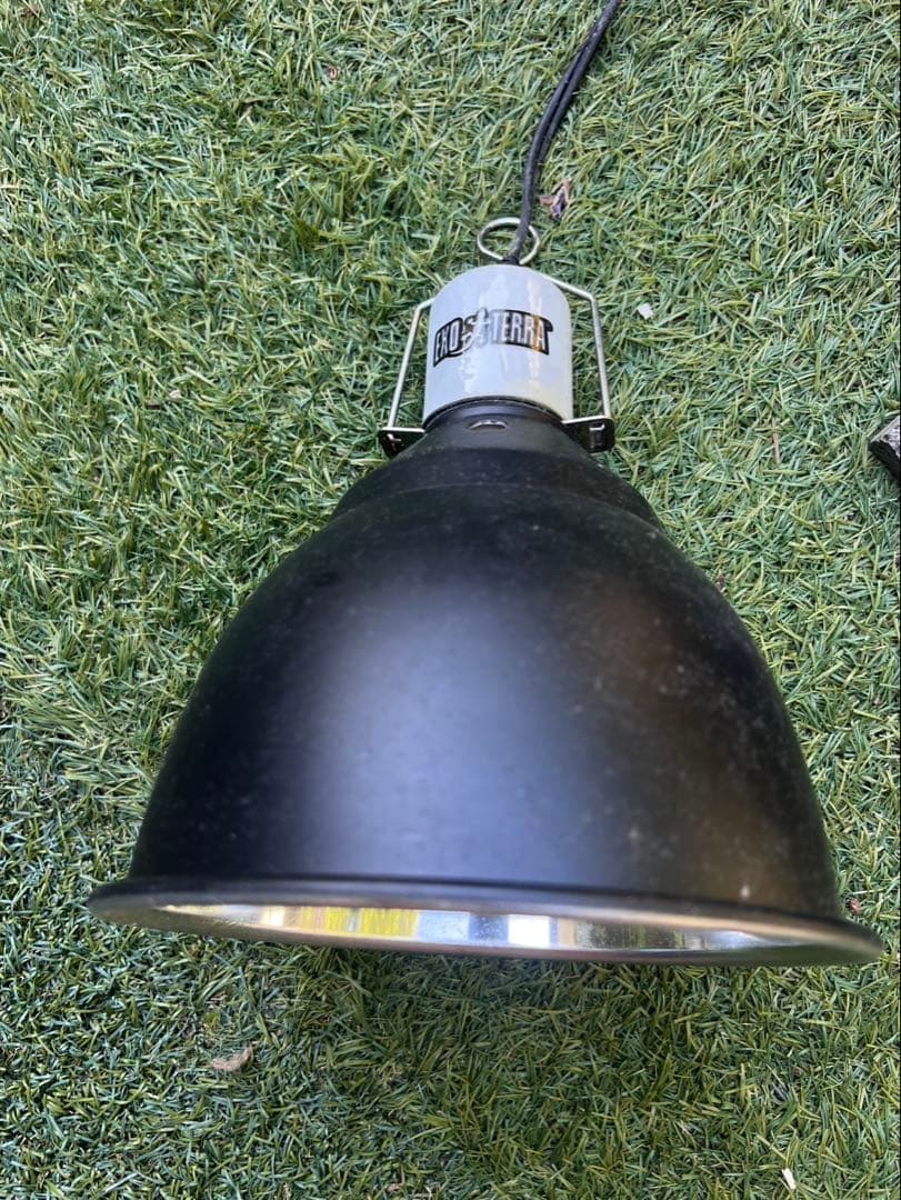 フ*ゴ様 エキゾテラ GEX EXOTERRA GEX 6030 爬虫類 飼育