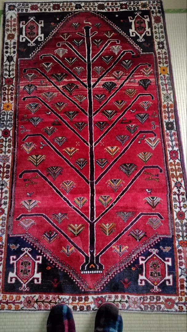 ゾランヴァリ　オールドギャッペ　生命の樹