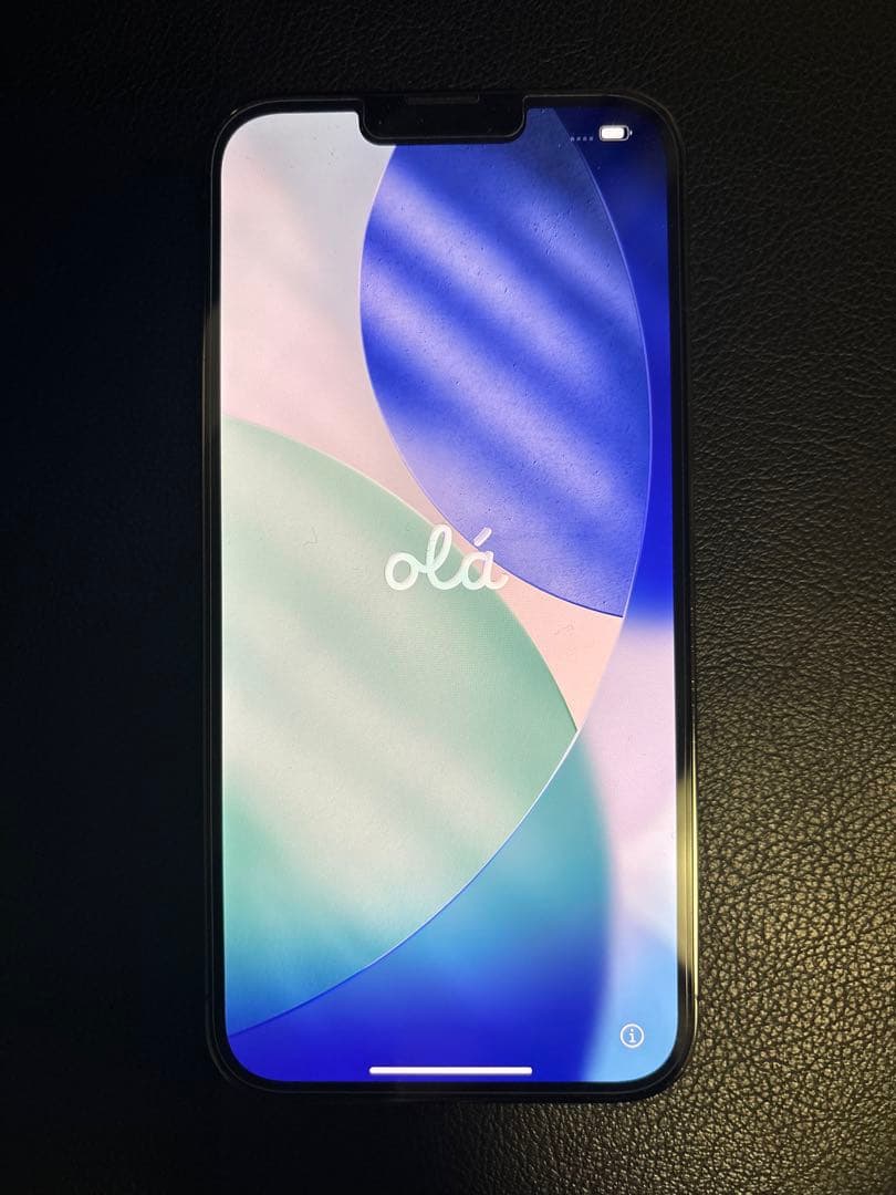 【銀林檎】iPhone13 Pro Max 256GB グラファイト