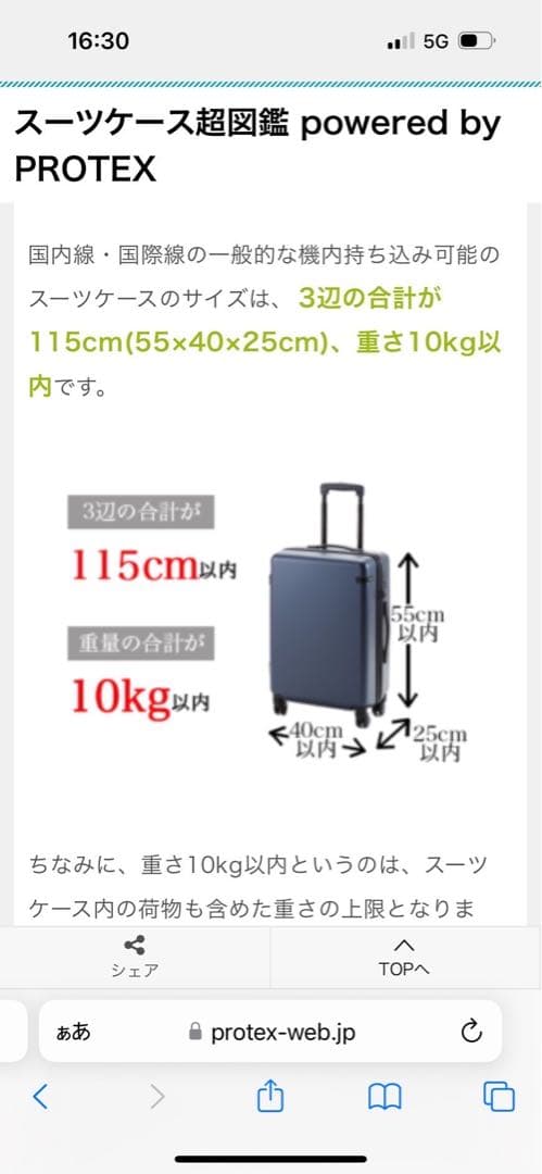 新品未使用アルベロベロアートプリント 中型キャリーケース軽量４輪雨雪保護カバー付