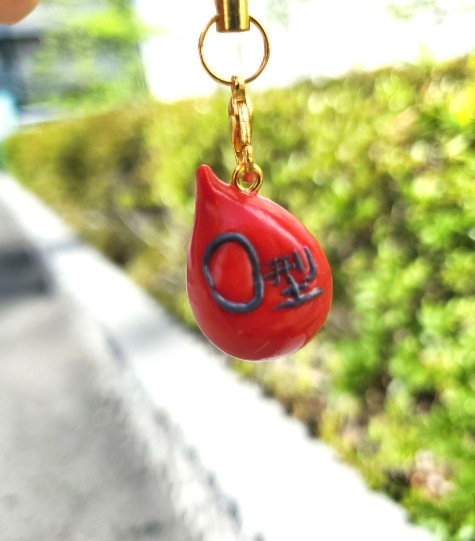 血液　臓器　手作り　キーホルダー　看護