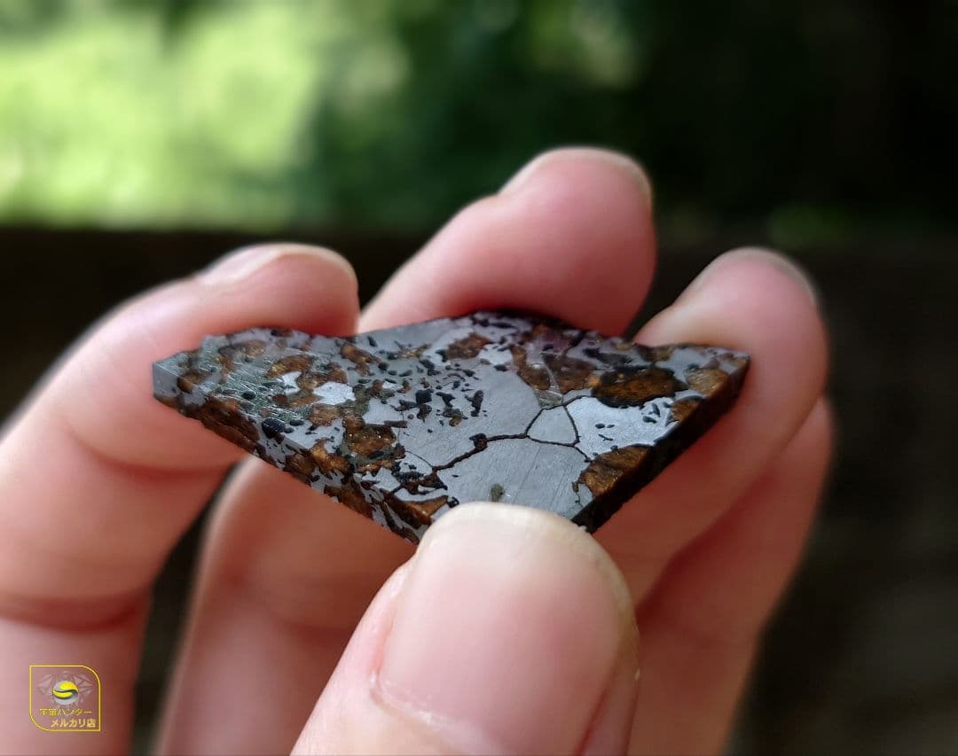 隕石 Hassi El Biod 002 パラサイト 12.23g⭐