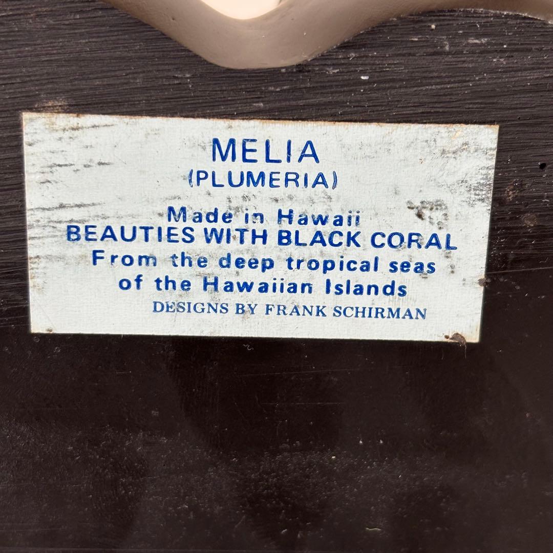 FRANK SCHIRMAN フランクシャーマン 黒珊瑚　1969年　ハワイ