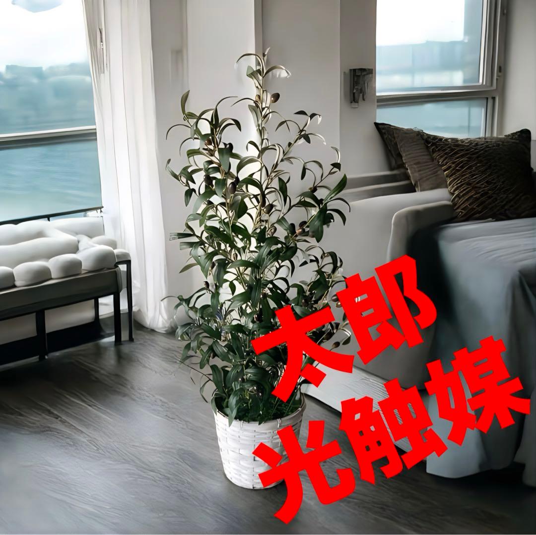光触媒　人工観葉植物　ウォールグリーン　フェイクグリーン　オリーブ100