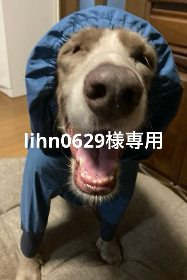 lihn0629。ALPHACON レインドックガードXL青・茶色