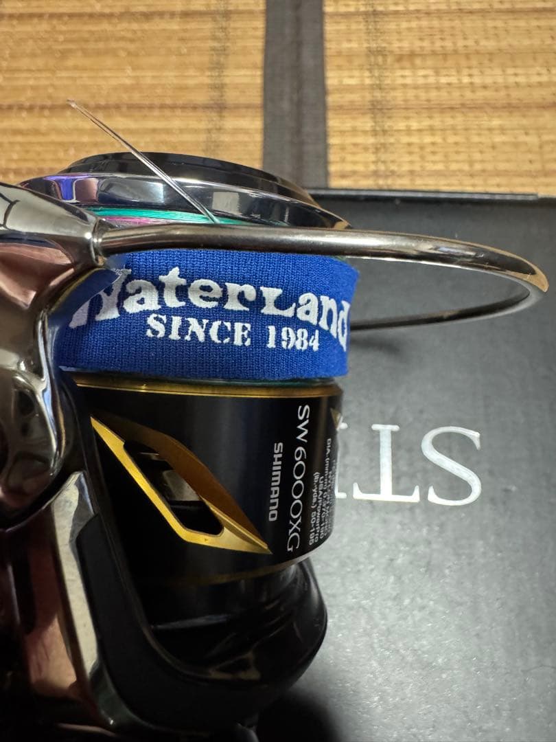 20ステラ SW 6000XG