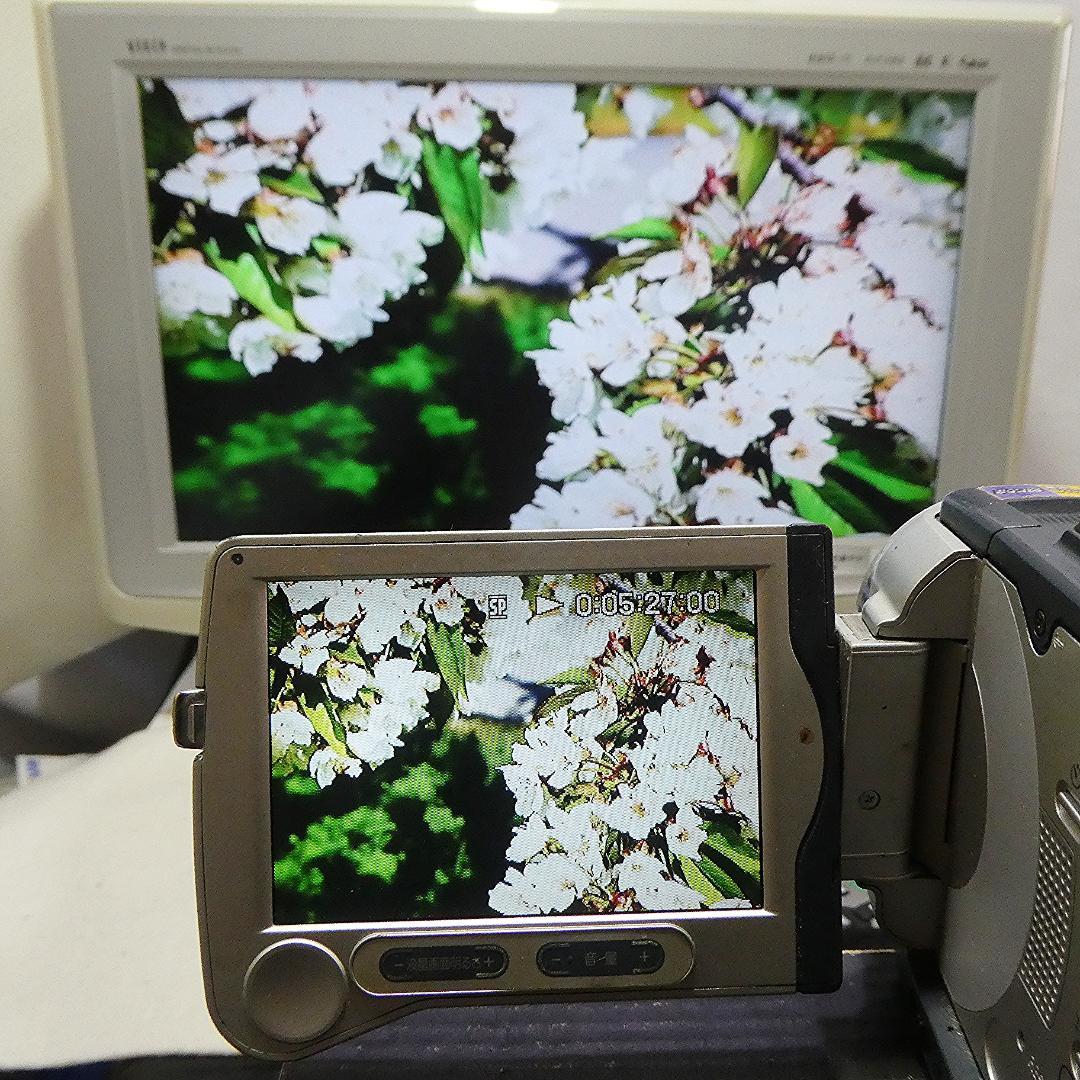 動作品 ソニーDCR-TRV30 MiniDV ビデオカメラDVDダビングに最適