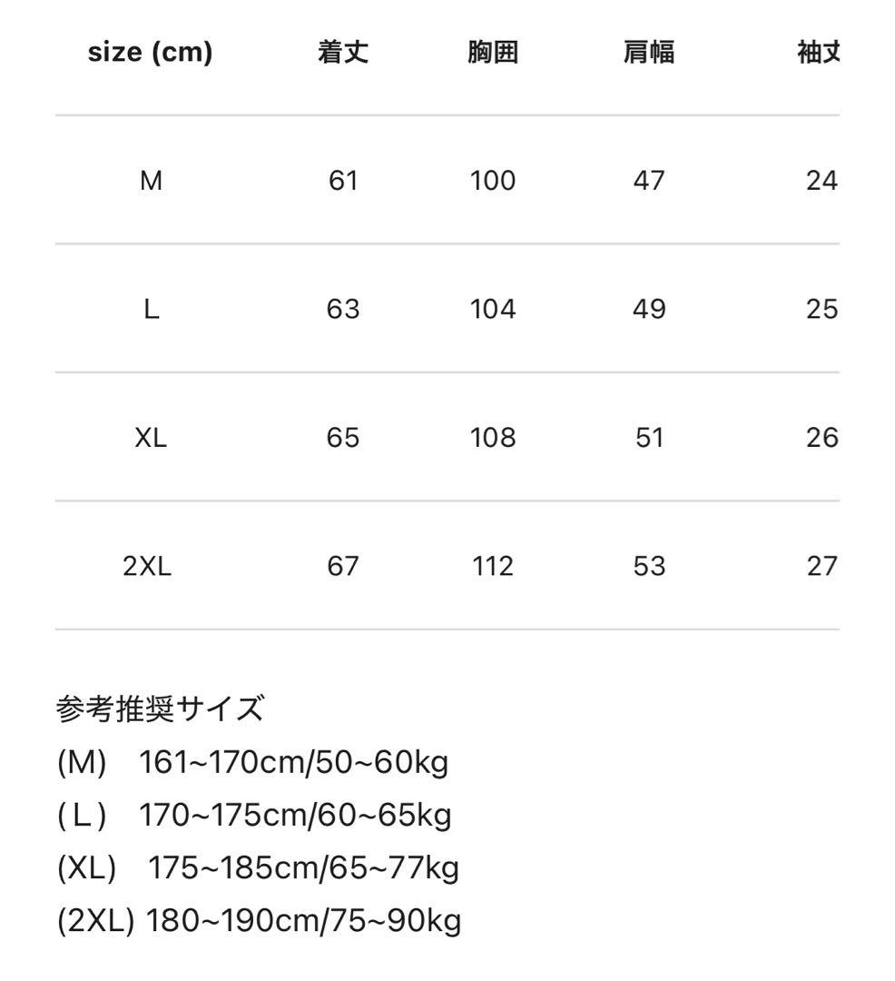 Dior シルバー ロゴ ピアス(両耳)