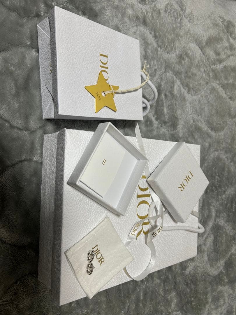 Dior シルバー ロゴ ピアス(両耳)