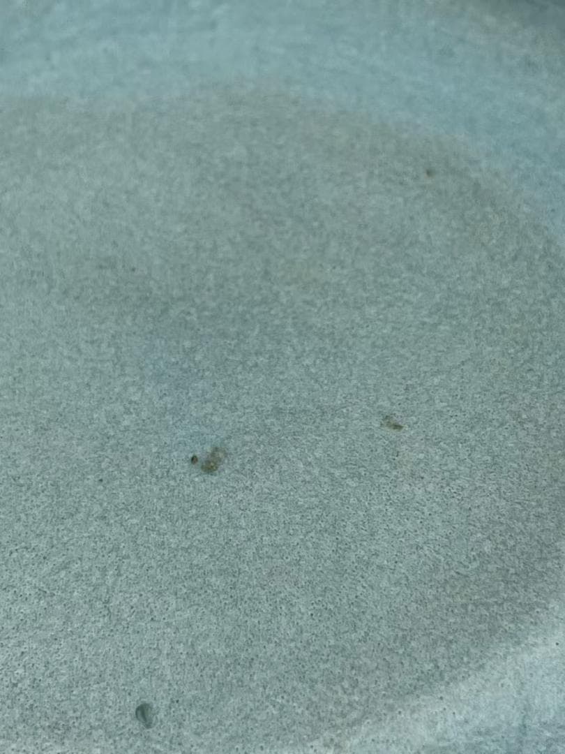 鈞窯　天青釉折縁盤 窯変釉皿　唐物　古賞物　時代物　中国古美術(B-55)