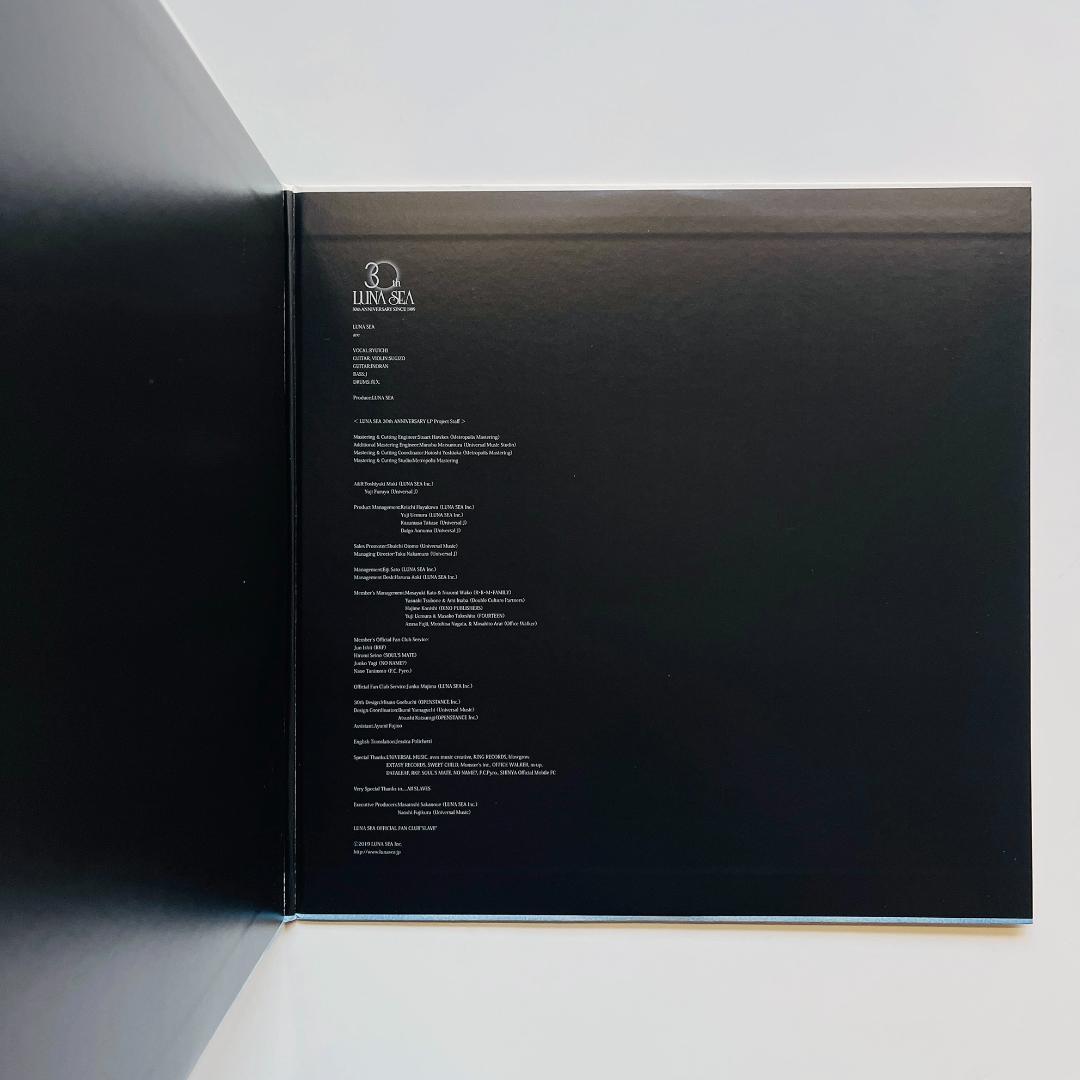 美品 レコード 2枚組 LUNA SEA EDEN エデン ルナシー 河村隆一