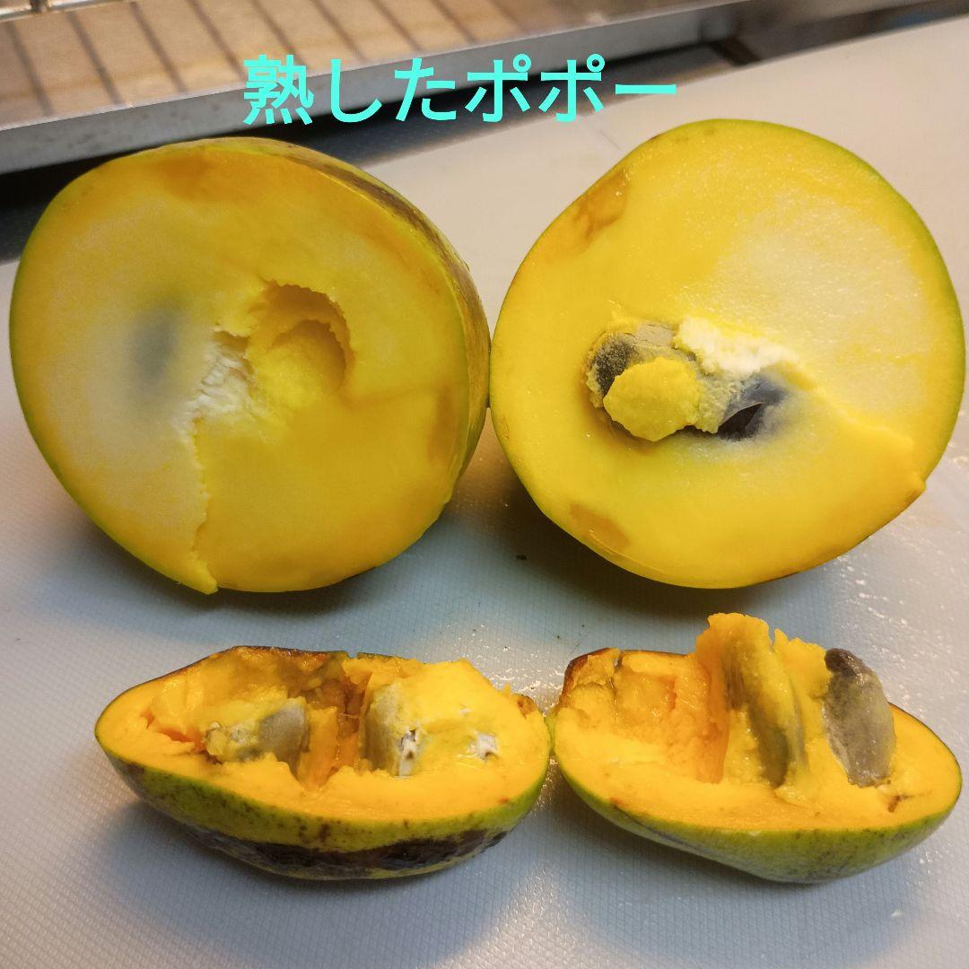 マンゴポポーMango Powpow　幻の果物　３点セット