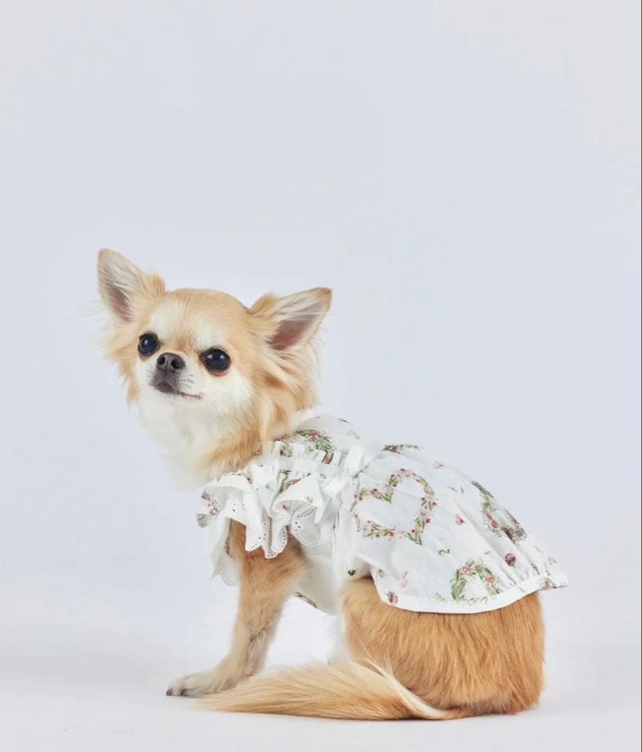 キャンディブッピー　ガーデントップス　今期