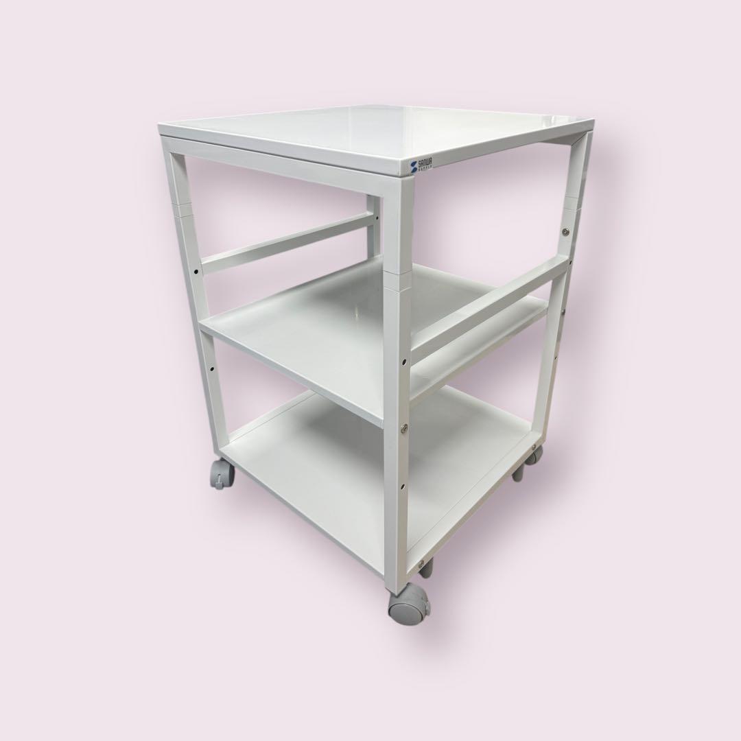 サンワサプライ プリンタスタンド(W500×D500) LPS-T5050