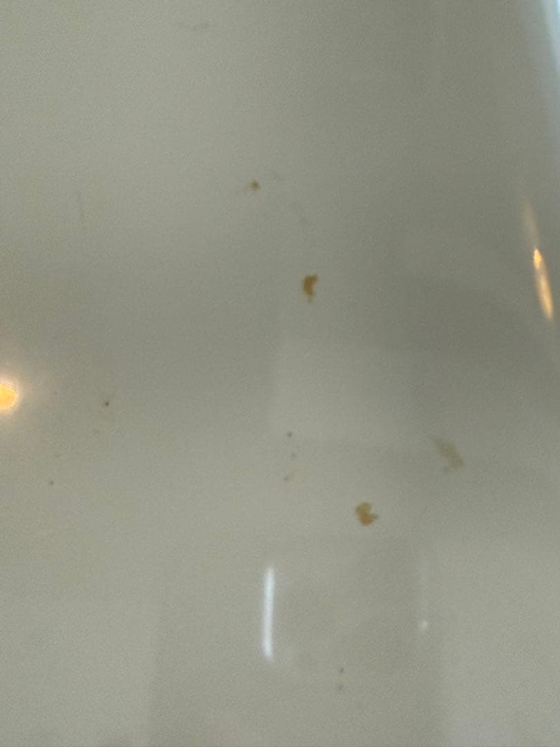 レア　Karim Rashid バタフライチェア　ピンク