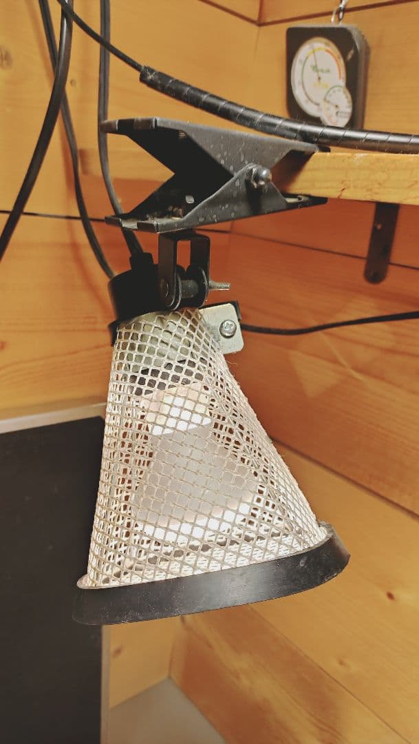 中型爬虫類飼育フルセット