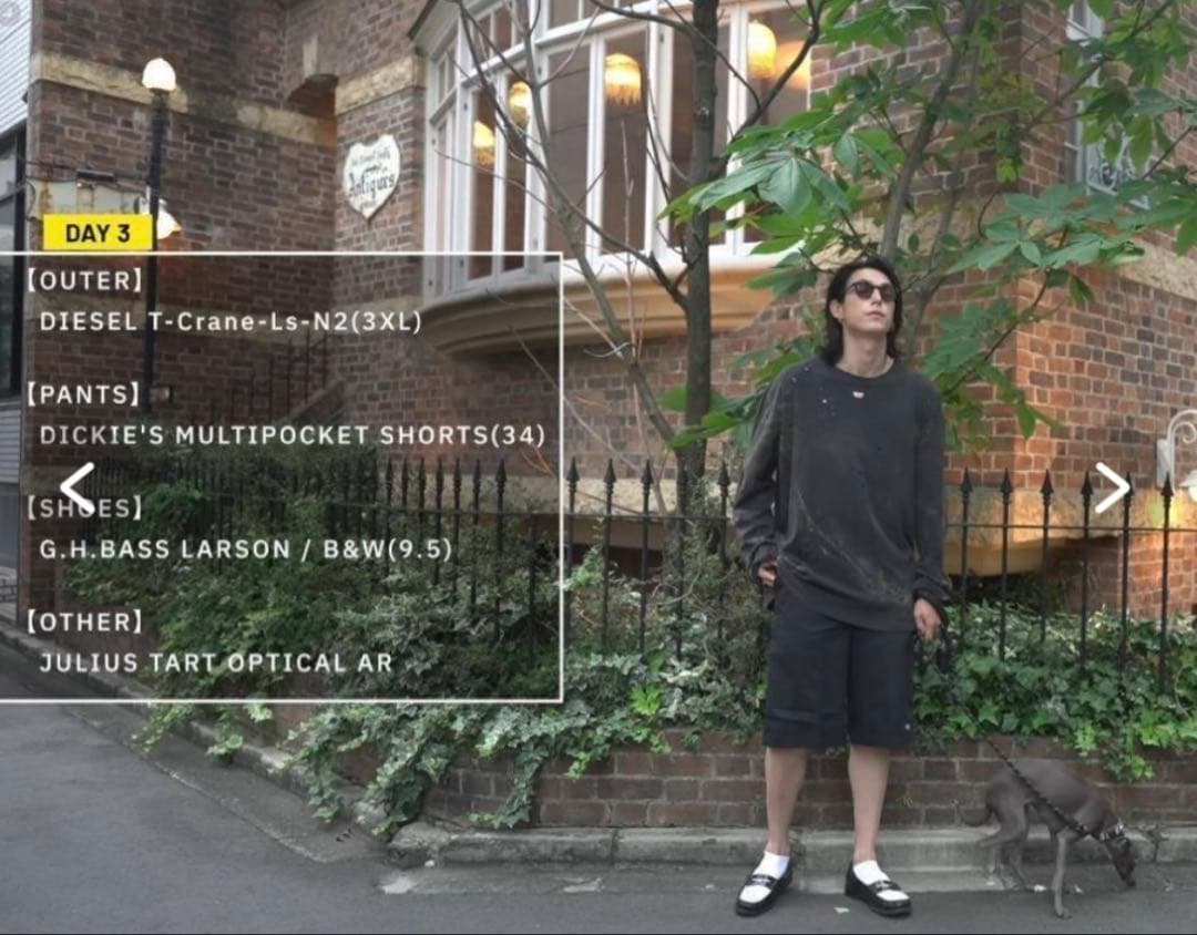 DIESEL モーガン蔵人着用 T-Crane-Ls-N2