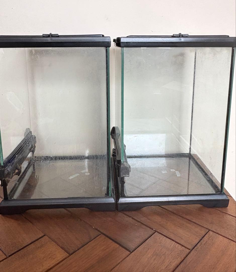 GEX グラステラリウム ナノ　エキゾテラ ケージ　2個セット