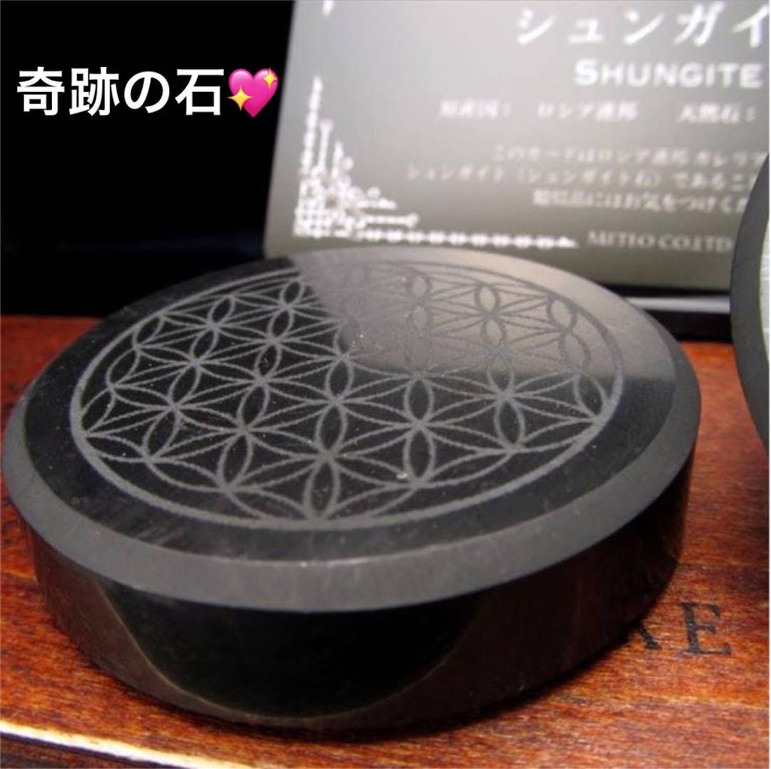 ★特選NEW★希少レア☆奇跡の石【シュンガイトフラワーオブライフプレート 】❤️