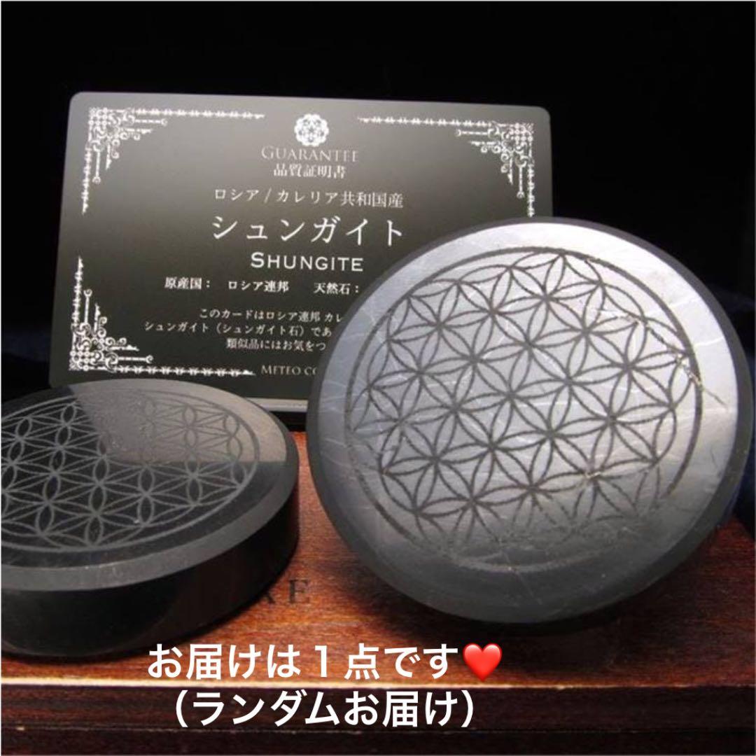 ★特選NEW★希少レア☆奇跡の石【シュンガイトフラワーオブライフプレート 】❤️