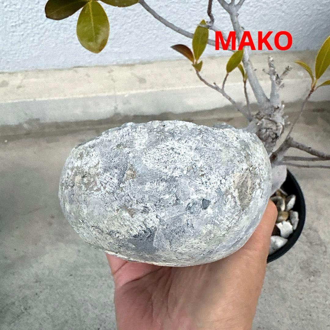 M1602☆セレスタイト原石2.8Kg☆天然石　原石