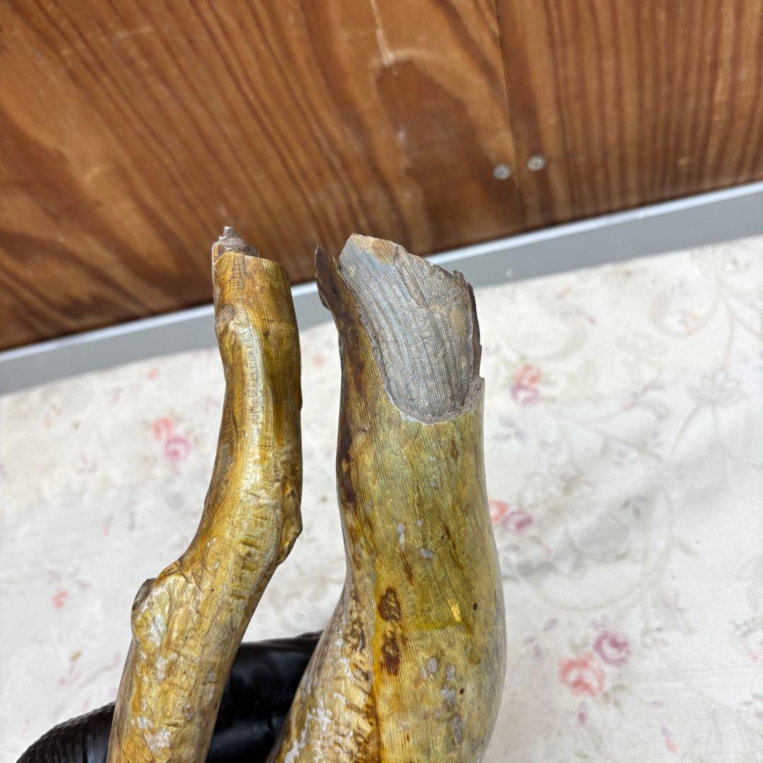 海松　深海松　レインボーコーラル　置物　素材　原木