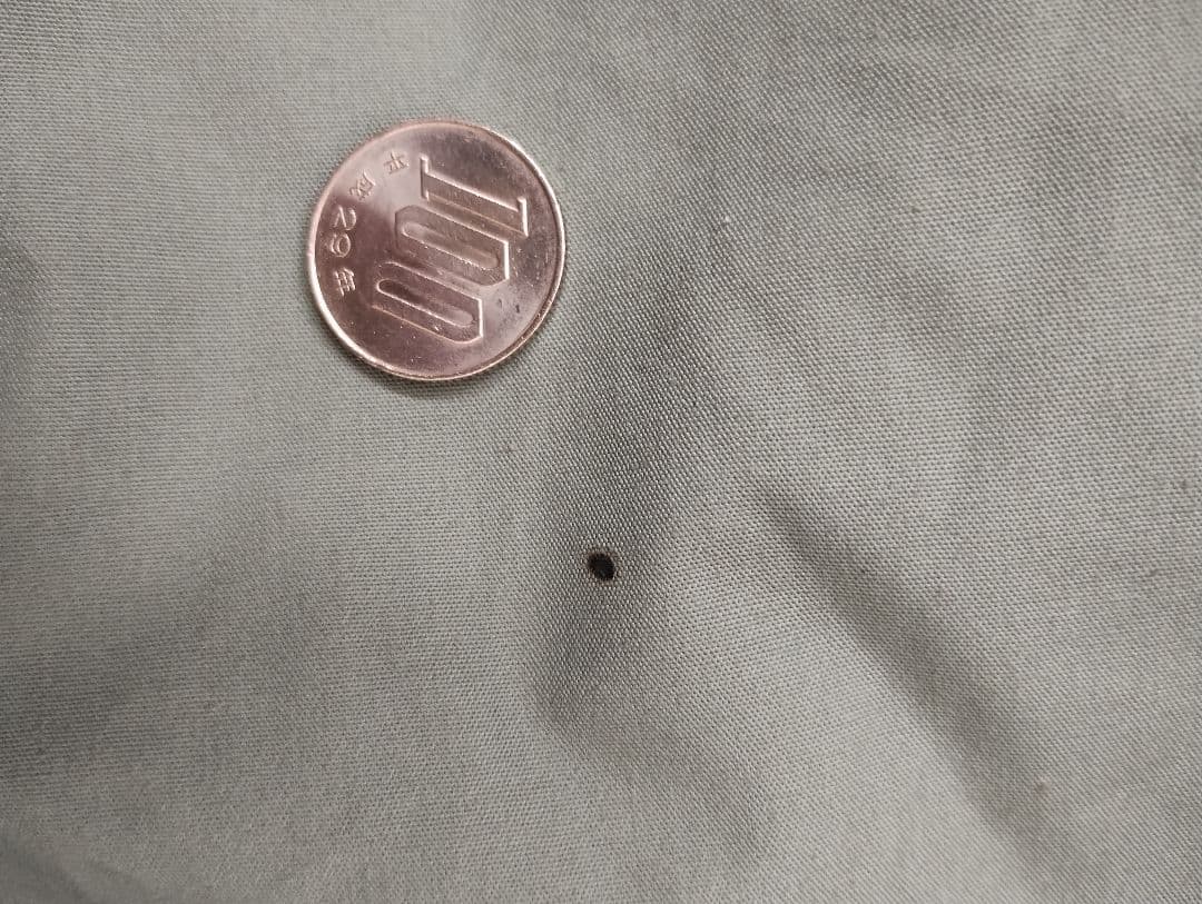 【値下】tent-Mark Designs サーカスTCDX ダックグリーン