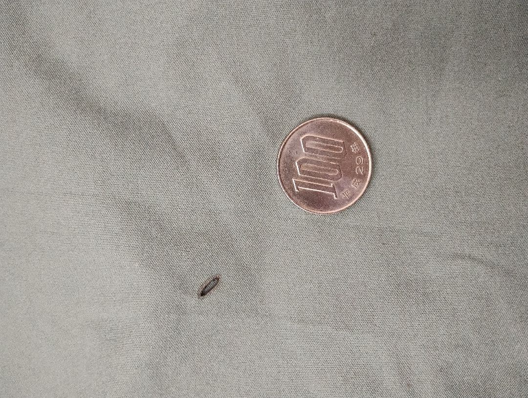 【値下】tent-Mark Designs サーカスTCDX ダックグリーン