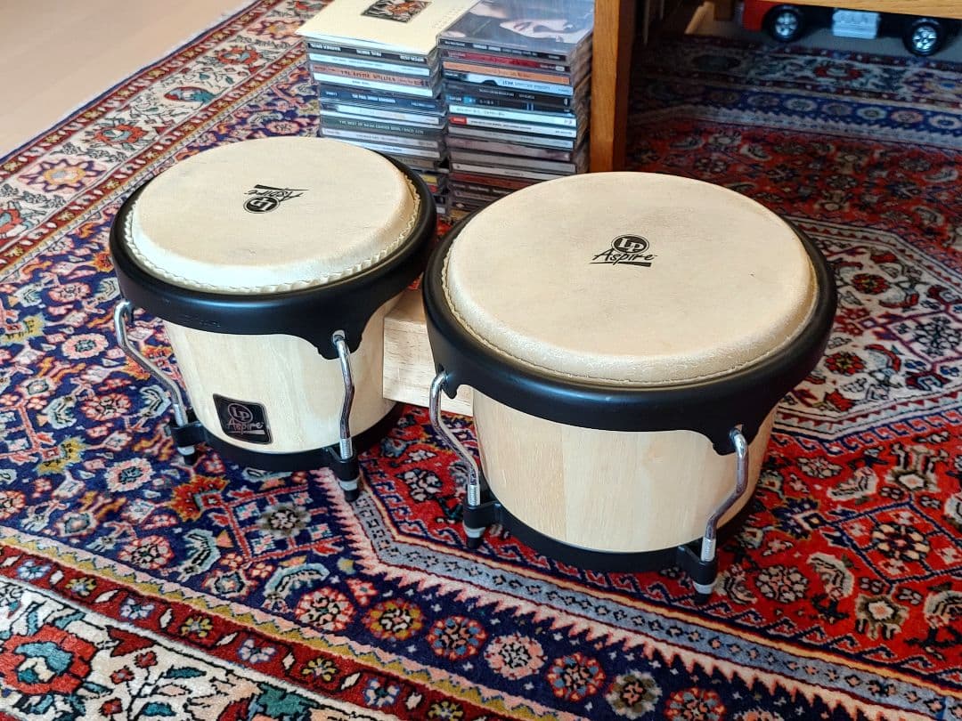 LP エルピー ボンゴ Aspire Wood Bongos