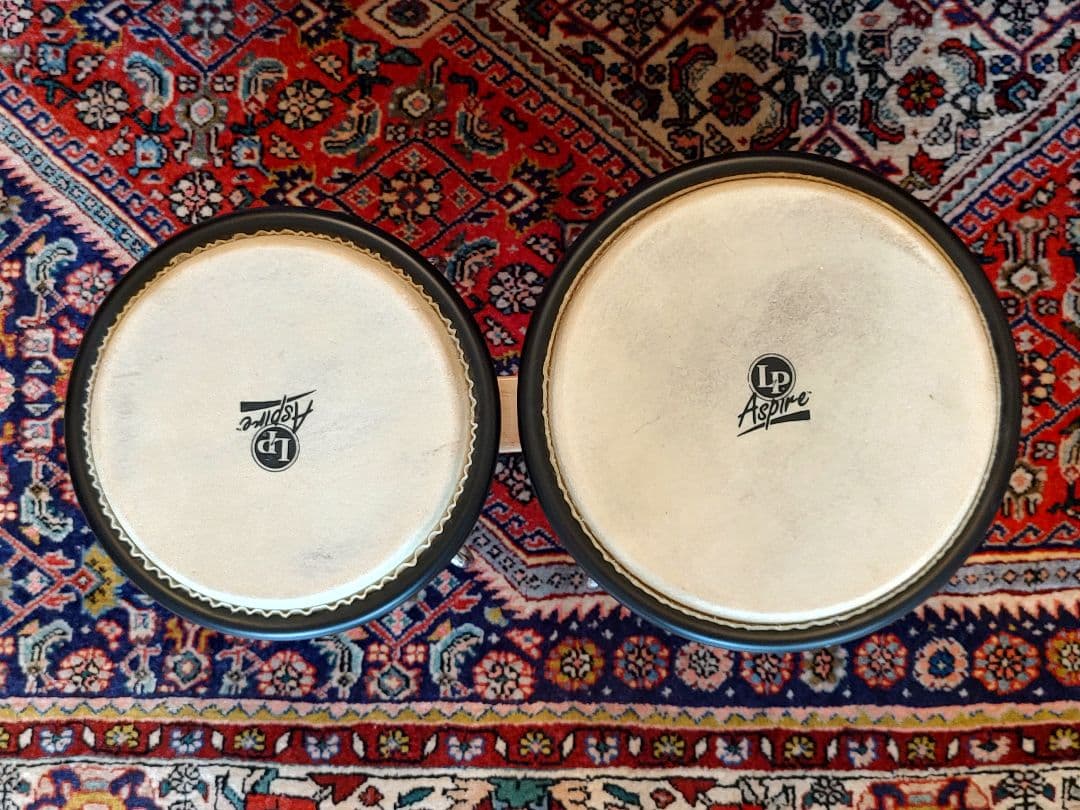 LP エルピー ボンゴ Aspire Wood Bongos