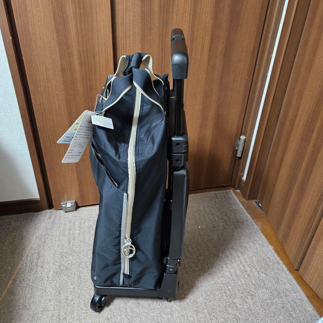 SWANY スワニー D-309プレーネⅡ 座面付 19L ブラック