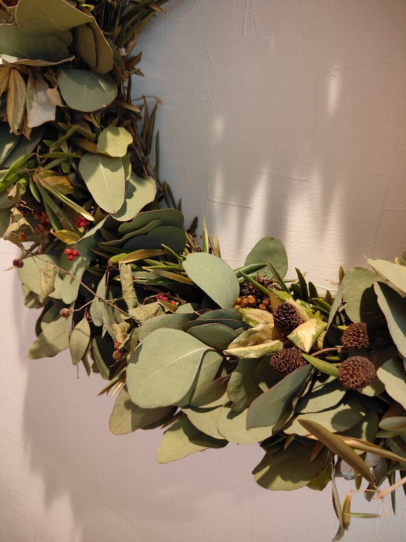 特大リース 50cm オリーブ ポポラス ドライフラワー 木の実 リース