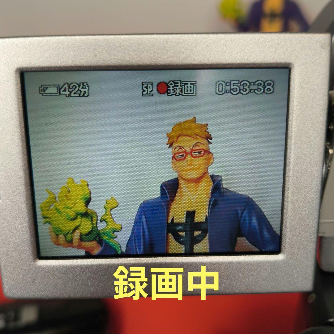 【ナイトショットOK】SONY ソニー DCR-PC120 Mini DV