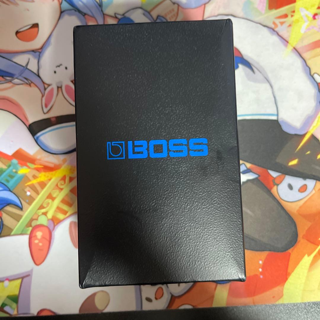 ギター BOSS/DS-1W Distortion WAZA CRAFT