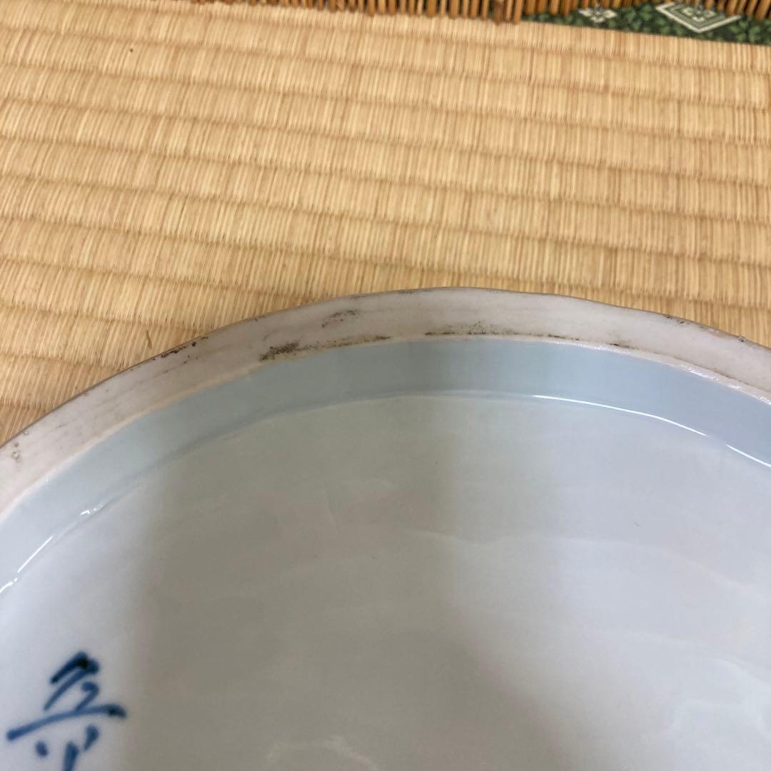 魯山人　鮑型写し