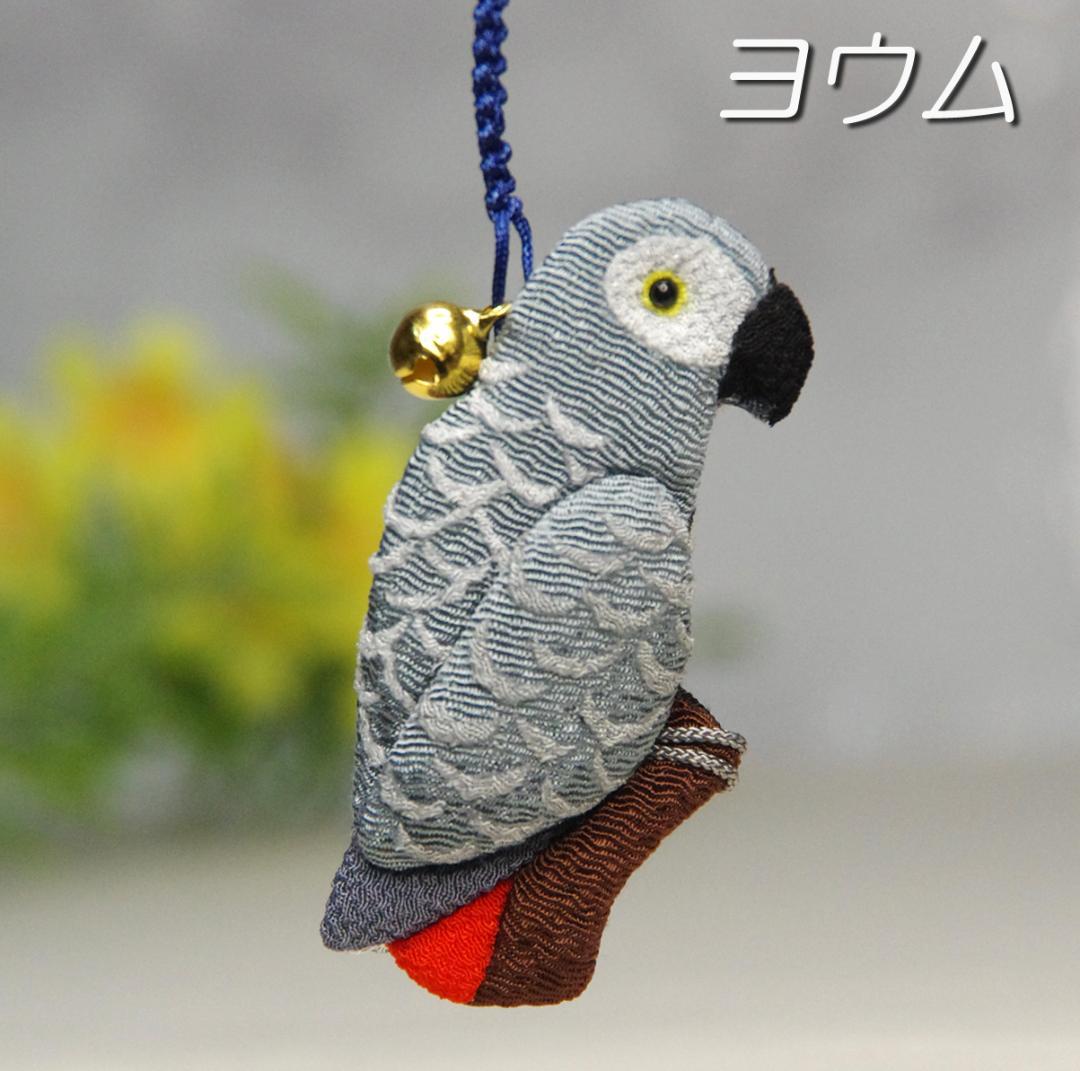 ヨウム　シルバー文鳥　サザナミインコ　　クリーム　グリーン濃・淡