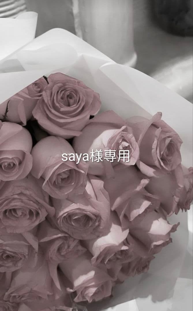 ファイル・バインダー・ケース saya