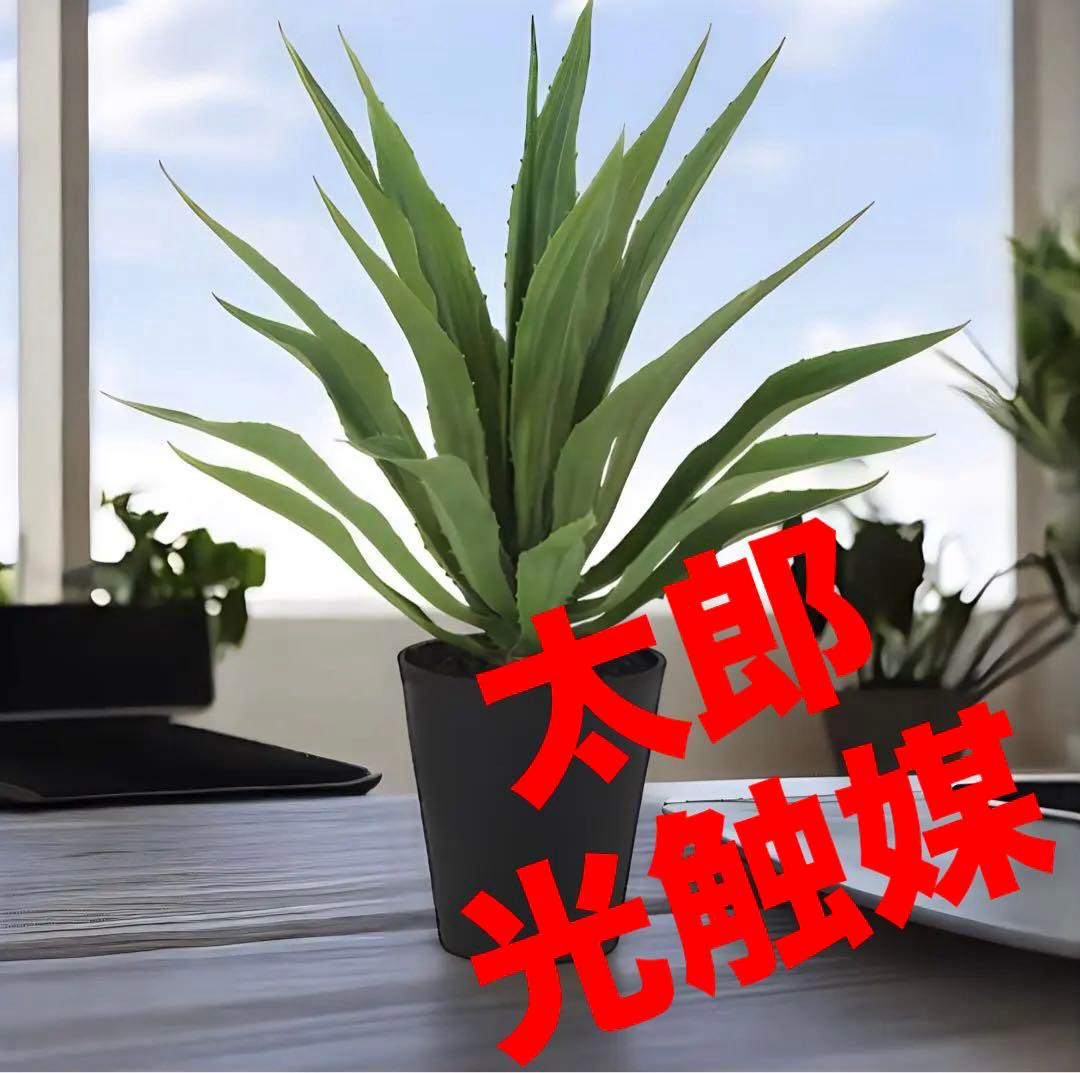 光触媒　人工観葉植物　ウォールグリーン　フェイクグリーン　アガベ・アメリカーナ