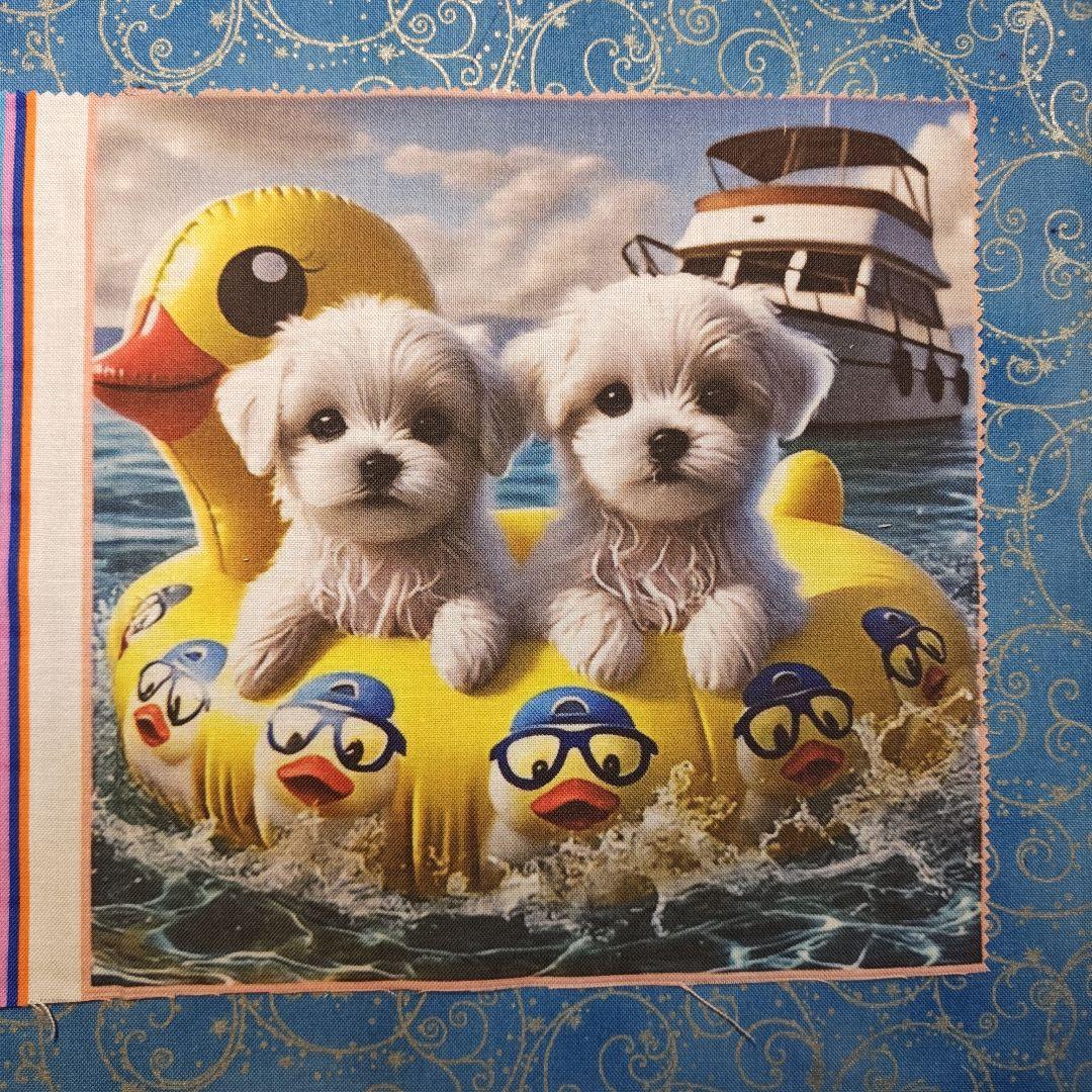 mafuyu　パネル　マルチーズちゃん柄19枚+19枚+12枚＝50枚